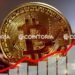 Bitcoin’s Path Beyond 0K Faces Little Resistance, On-Chain Data Shows Bitcoin’s Path Beyond 0K Faces Little Resistance, On-Chain Data Shows