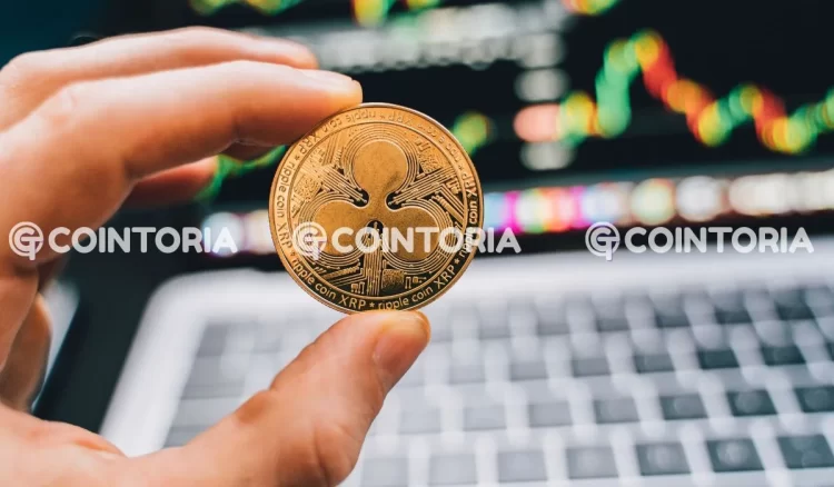 BitMEX Sparks Ripple Rumors: XRP Community Braces for Possible Partnership Surge